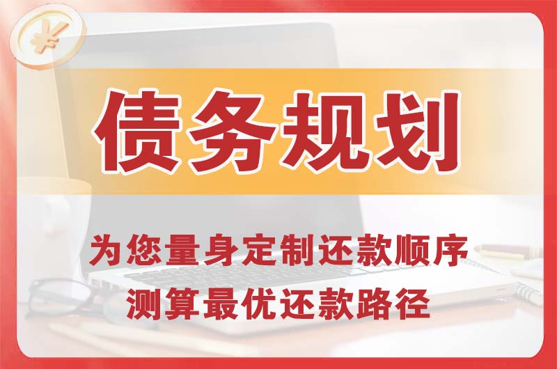 孝昌债务规划